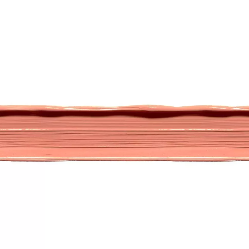 ABSOLUTE NEW YORK Correcteur Et Anti-Cerne Click Cover Concealer - Mfcc16 Cc Orange New