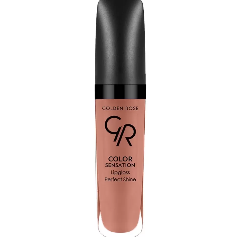 GOLDEN ROSE Gloss Color Sensation - 131 Terracotta Online